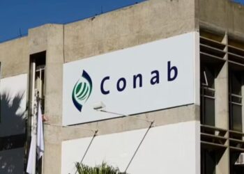 Concurso dos sonhos: Governo prorroga inscrições para 403 vagas com salários de até R$ 8 mil
