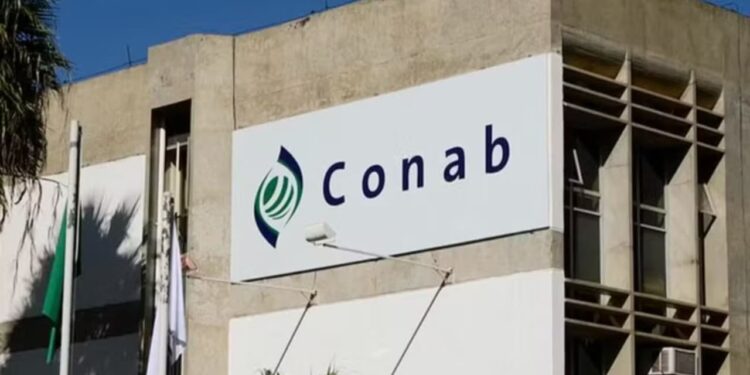 Concurso dos sonhos: Governo prorroga inscrições para 403 vagas com salários de até R$ 8 mil