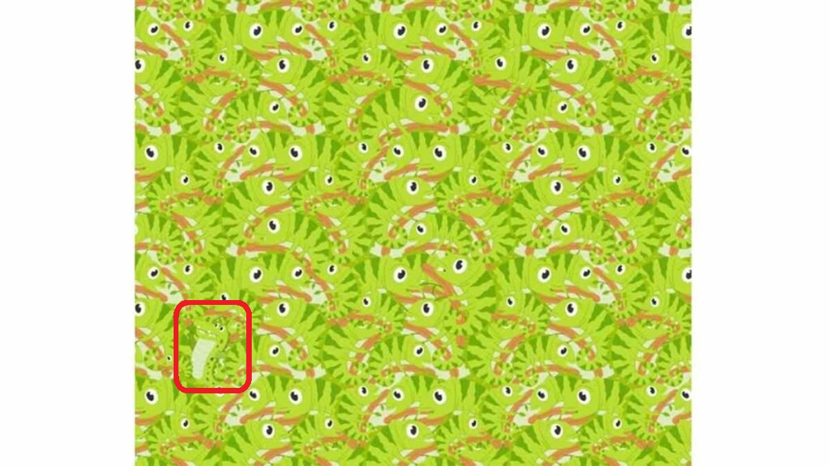 Desafio visual: Encontre o crocodilo entre os camaleões Solução do desafio visual com camaleões verdes camuflados em folhas com um crocodilo escondido entre eles