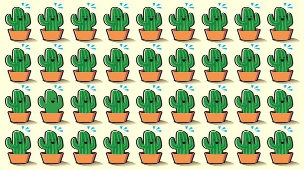 Será que seus olhos são afiados? Tente encontrar o único cacto que não é igual aos outros! Ilustração com vários cactos em vasos, onde um deles possui um formato diferente dos demais.