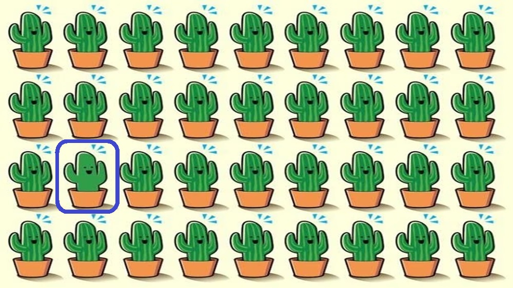 Encontre o cacto diferente neste desafio de atenção Solução do desafio visual com vários cactos em vasos, onde um deles possui um formato diferente dos demais.