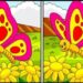 Desafio visual com borboleta colorida e oito diferenças para encontrar