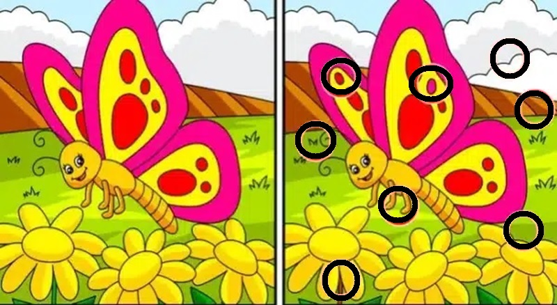 Encontre as oito diferenças na borboleta colorida Solução do desafio visual com borboleta colorida e oito diferenças para encontrar
