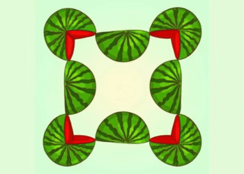 Ilustração de várias fatias de melancia organizadas formando uma figura, com um teste de QI visual para identificar a quantidade de melancias.
