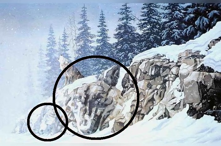 Desafio visual: encontre os dois lobos escondidos na paisagem de inverno. Teste visual lobo uivando em penhasco nevado com formação rochosa que lembra outros lobos ocultos.