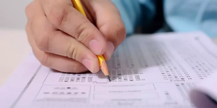 Concurso em Pão de Açúcar tem salários de até R$ 3 mil, e você pode estar perdendo essa chance