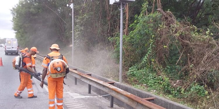 Acabou a espera: Comlurb publica lista com os 600 classificados para vaga de gari