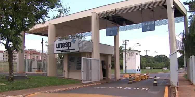 Unesp abre vaga cobiçada para professor: Salário de R$ 16 mil por mês