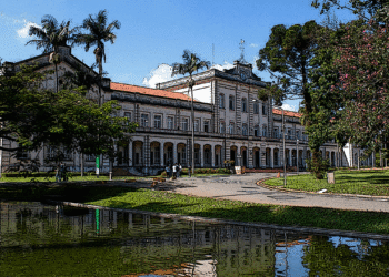 Vaga dos sonhos? USP paga mais de R$ 16 mil por mês para professor em Transformação Digital