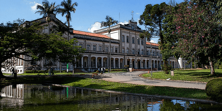 Vaga dos sonhos? USP paga mais de R$ 16 mil por mês para professor em Transformação Digital
