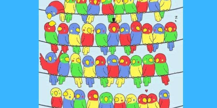 Teste visual de um desenho com aves coloridas empoleiradas em fios, com uma ave sem par