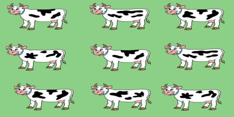 Desafio visual com nove vacas, onde uma delas é diferente.