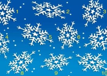 Desafio visual com flocos de neve numerados, convidando o leitor a encontrar o floco de neve diferente entre os outros.