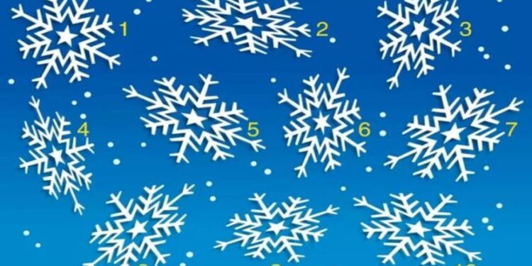 Desafio visual com flocos de neve numerados, convidando o leitor a encontrar o floco de neve diferente entre os outros.