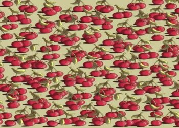 Desafio visual com uma imagem ilustrativa com cerejas em fundo claro e um tomate oculto entre as cerejas.