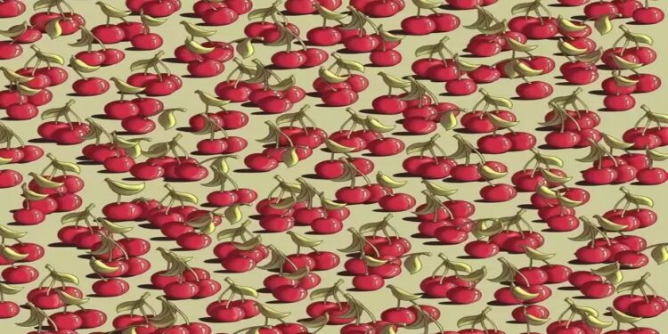Desafio visual com uma imagem ilustrativa com cerejas em fundo claro e um tomate oculto entre as cerejas.