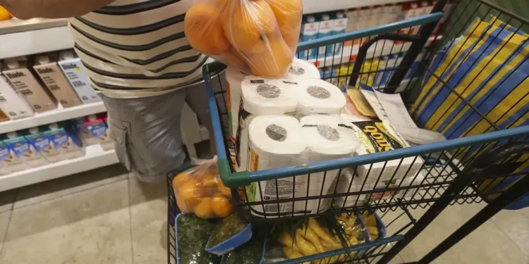 Itens essenciais em carrinho de supermercado durante compra