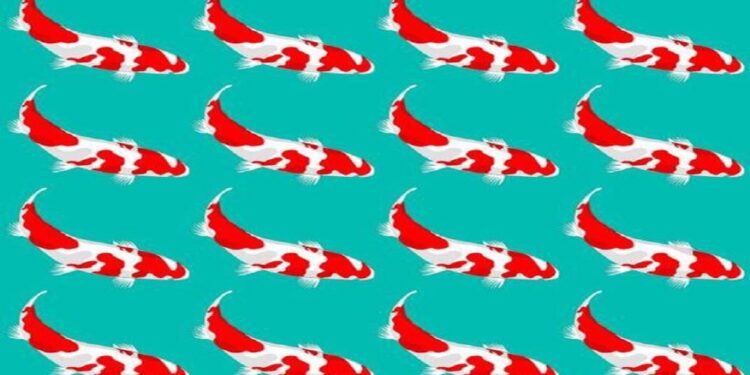 Desafio visual com um padrão de peixes koi vermelhos nadando sobre fundo azul claro