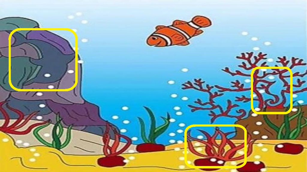 Desafio visual com animais marinhos escondido nos corais. Solução do teste de QI com uma ilustração subaquática com peixe-palhaço e corais em fundo azul
