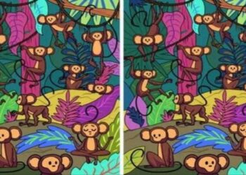 Teste Visual com dois quadros lado a lado mostrando macacos na floresta em um jogo de encontrar diferenças.