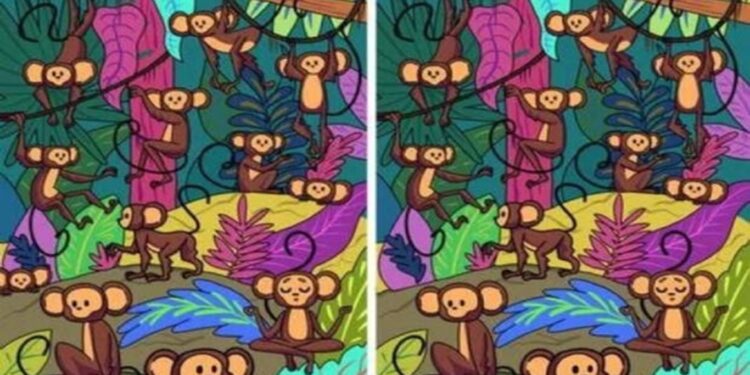 Teste Visual com dois quadros lado a lado mostrando macacos na floresta em um jogo de encontrar diferenças.