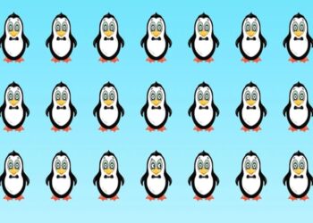 Desafio visual com vários pinguins em fileiras, sendo um diferente dos demais