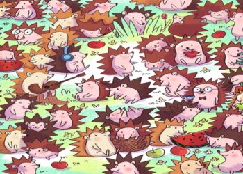 Teste visual com vários ouriços coloridos, entre eles um cacto disfarçado