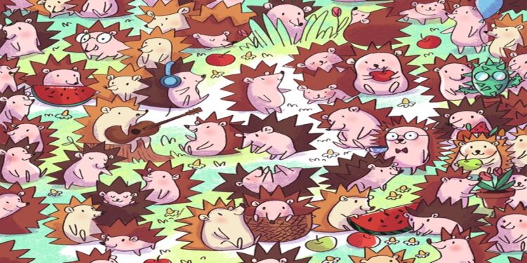 Teste visual com vários ouriços coloridos, entre eles um cacto disfarçado