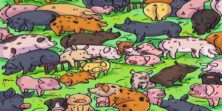 Teste visual com uma imagem colorida de vários porcos em um campo, com diferentes cores e tamanhos, incluindo porquinhos e porcas descansando e brincando entre a grama.