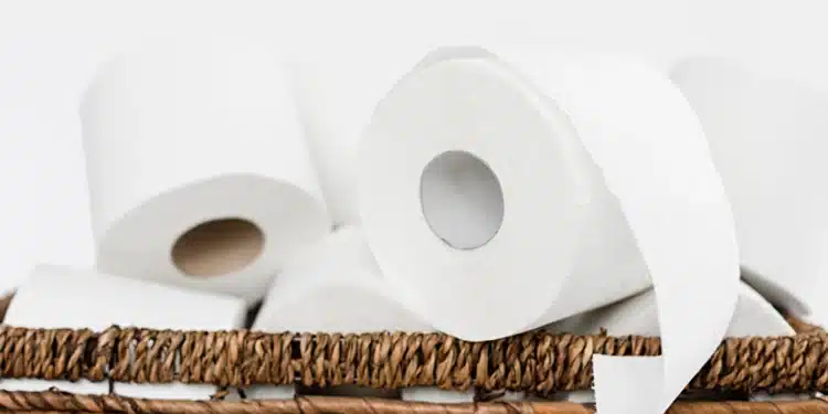 Papel higiênico com fragrância, método simples para manter sua casa cheirosa e agradável.
