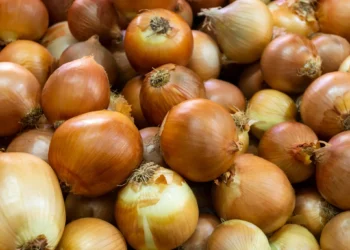 Imagem de cebolas com cascas visíveis, relacionadas aos benefícios de usar casca de cebola no cabelo para promover o crescimento e a saúde capilar.