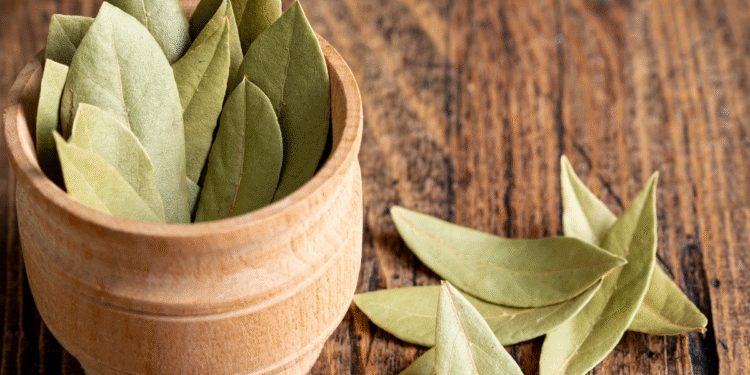 Folhas de louro secas em pote de madeira sobre mesa rústica