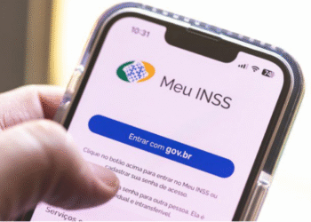 Tela do aplicativo Meu INSS mostrando a opção de login para acessar serviços do INSS.