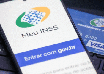 Guia completo do PPP: como obter o Perfil Profissiográfico Previdenciário no site Meu INSS