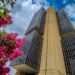 Edifício do Banco Central do Brasil em Brasília, com flores cor-de-rosa em primeiro plano, ilustrando a nova política de restrição de transferências para contas suspeitas de atividades ilícitas.