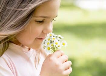 Criança sentindo perfume delicado de margaridas formando primeiras memórias olfativas duradouras