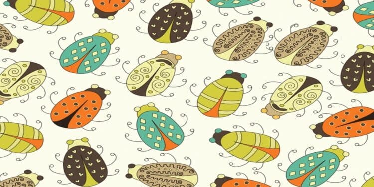 Teste visual com joaninhas desenhadas em estilo abstrato com cores vibrantes sobre fundo claro