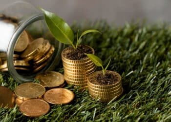 Moedas com plantas crescendo simbolizando economia verde e profissões sustentáveis que dominarão mercado nos próximos anos
