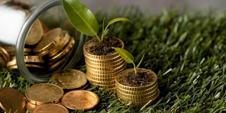 Moedas com plantas crescendo simbolizando economia verde e profissões sustentáveis que dominarão mercado nos próximos anos