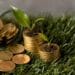 Moedas com plantas crescendo simbolizando economia verde e profissões sustentáveis que dominarão mercado nos próximos anos