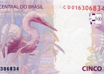 Close-up de uma cédula de R$ 5 (cinco reais) com a figura da garça em destaque e o número de série. A imagem ilustra as notas raras procuradas por colecionadores por detalhes como a Estampa C, podendo valer até R$ 950.