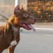 Cão Pitbull com coleira, exibindo uma expressão calma e alerta, em ambiente urbano
