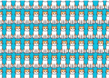 Imagem colorida com vários gatos ilustrados sentados em fileiras, todos semelhantes, com fundo azul.