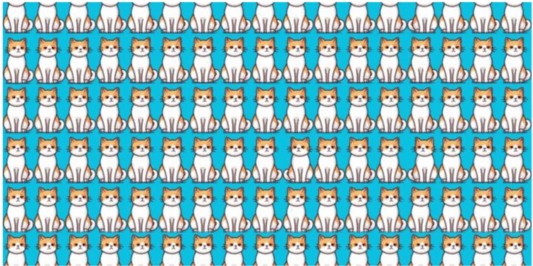 Imagem colorida com vários gatos ilustrados sentados em fileiras, todos semelhantes, com fundo azul.