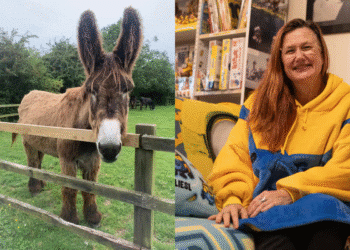 Montagem de foto mostrando um burro de orelhas longas e uma mulher vestindo um cobertor com capuz gigante, ilustrando recordes bizarros do Guinness 2026.