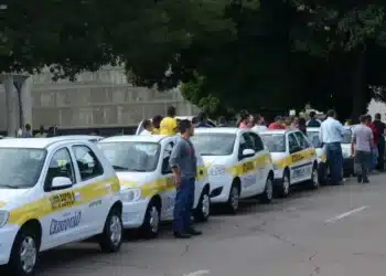 Imagem de carros de autoescola alinhados com pessoas em um ponto de encontro, simbolizando a mudança nas regras da CNH, com a proximidade do fim da obrigatoriedade da autoescola.