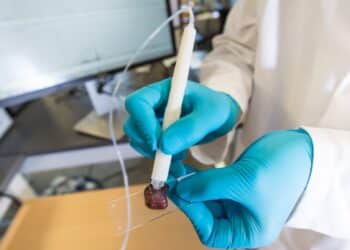 Mãos com luvas azuis segurando instrumento para analisar tecido sobre lâmina de vidro em laboratório