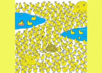 Ilustração colorida com muitos patos amarelos, dois lagos azuis e animais camuflados entre eles.
