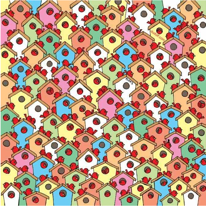 Ilustração colorida de várias casinhas com pássaros vermelhos empoleirados em cada casa.