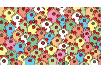 Desenho de casas pequenas e coloridas com pássaros vermelhos pousados em cada uma, formando um padrão colorido e repetido.